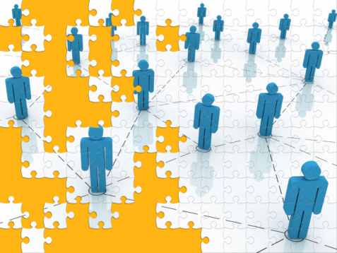 Case Study: Project Management in the BPM Project