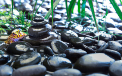 Business Architecture: In the Absence of Standards