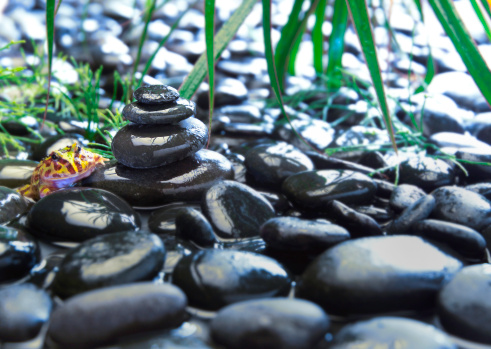 SOA and Process Modelling