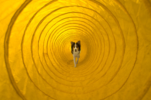 Out-SOA-cing – The Challenge of Outsourcing SOA