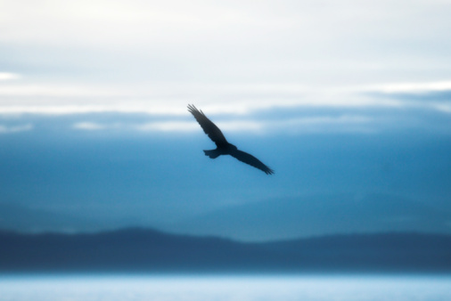 SOA and Service Catalogues