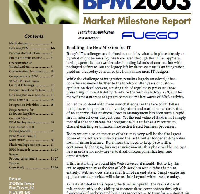 Delphi Group 2003 BPM Market Milestone Report