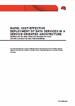 Rapid, cost-effective deployment of data services in a service-oriented architecture