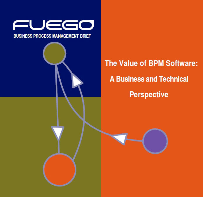 The Value of BPM Software: A Business and Technical Perspective