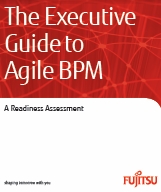 The Executive Guide to Agile BPM