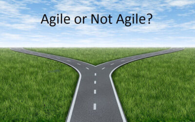 How to Be Agile in a Non Agile Organization (Part 1):