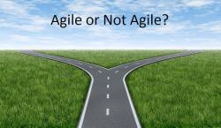 How to Be Agile in a Non Agile Organization (Part 2):  Aligning Agile projects to corporate reporting structures