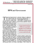 Research Brief: BPM and Government