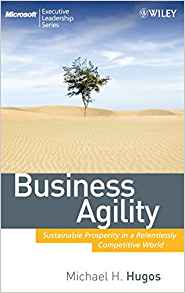 Business Agility: Sustainable Prosperity in a Relentlessly Competitive World