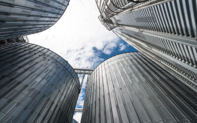 Busting Organizational Silos with Business Process Management